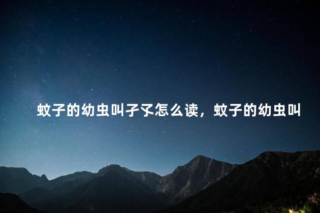 蚊子的幼虫叫孑孓怎么读，蚊子的幼虫叫什么