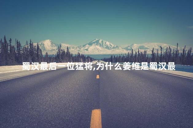 蜀汉最后一位猛将,为什么姜维是蜀汉最后一员猛将