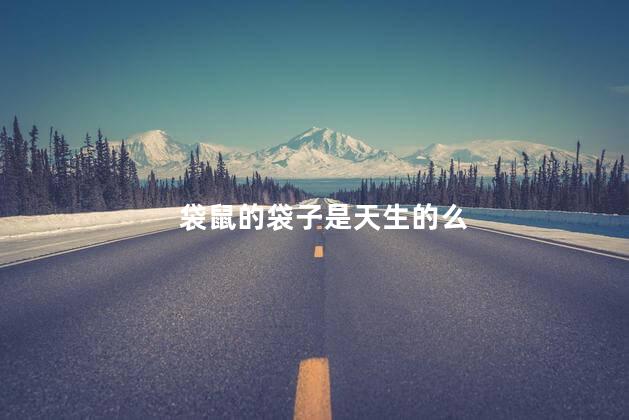 袋鼠的袋子是天生的么，袋鼠是不是天生就有袋子呢