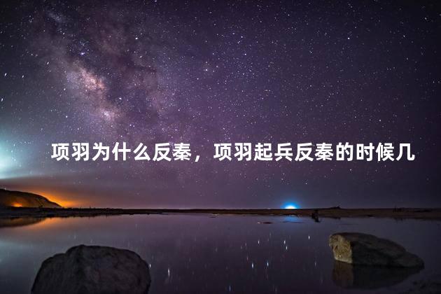 项羽为什么反秦，项羽起兵反秦的时候几岁
