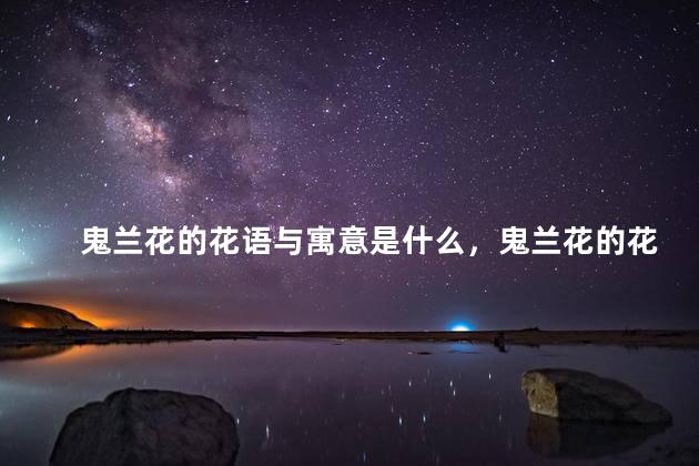 鬼兰花的花语与寓意是什么，鬼兰花的花语是啥