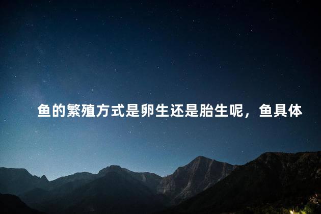 鱼的繁殖方式是卵生还是胎生呢，鱼具体怎么繁殖