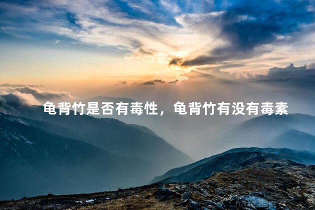 龟背竹是否有毒性，龟背竹有没有毒素